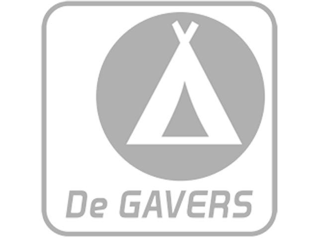 De Gavers - The Charming Thief